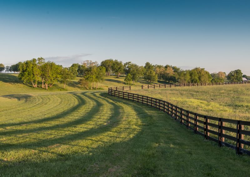 Pasture Fence Repair