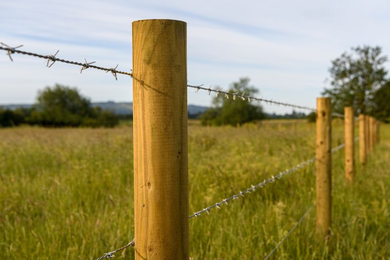 Wire Fence Replacement
